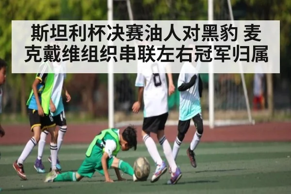 斯坦利杯决赛油人对黑豹 麦克戴维组织串联左右冠军归属